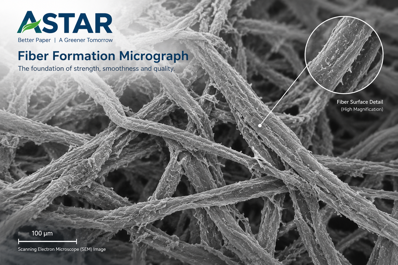 Microscopic Fiber Formation Analysis
